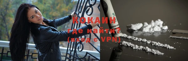 дживик Арсеньев