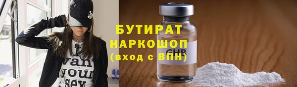 индика Алексин