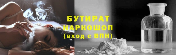 индика Алексин