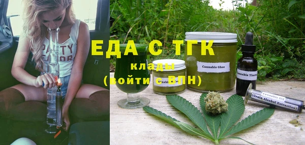 индика Алексин