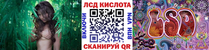 Купить где  Углегорск  Марки 25I-NBOMe 1500мкг 