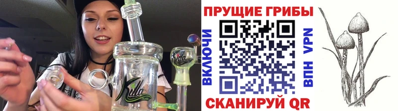 Купить  Углегорск  Галлюциногенные грибы Cubensis 